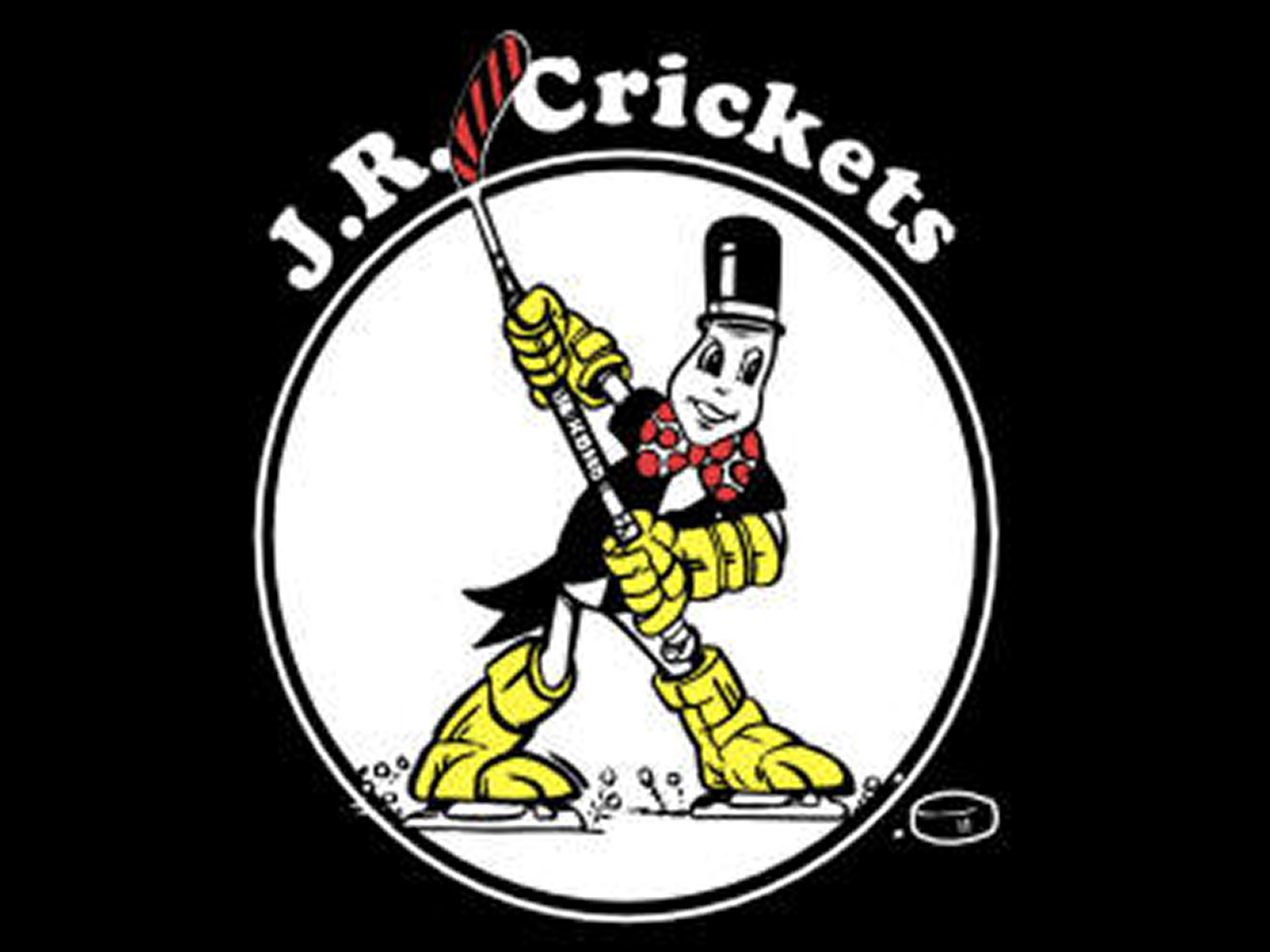 Cartoon of a person holding a stick with the J.R
